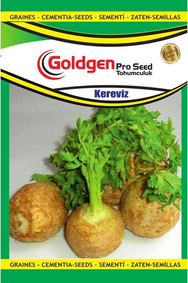Kademgiller Kereviz Tohumu - Image 1