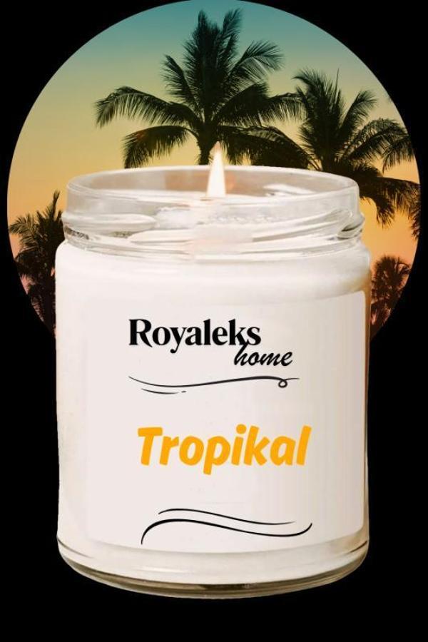 Doğal Özel Seri Kokulu Dekoratif Kavanoz Mum 210 cc - Tropikal Esans - RYL - Image 1
