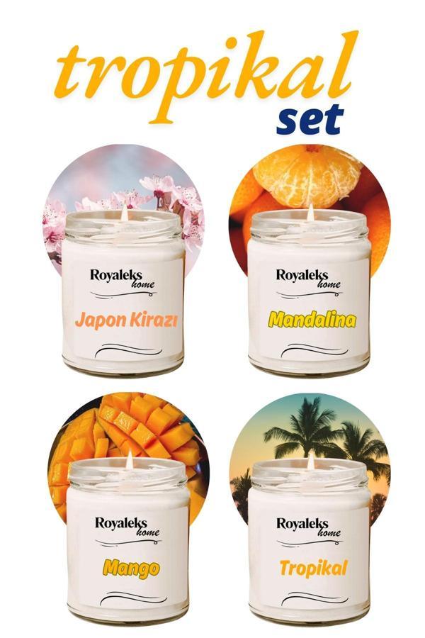 4 Adet Doğal Özel Seri Kokulu Dekoratif Kavanoz Mum 4X210 cc - Tropikal Set - RYL - Image 1