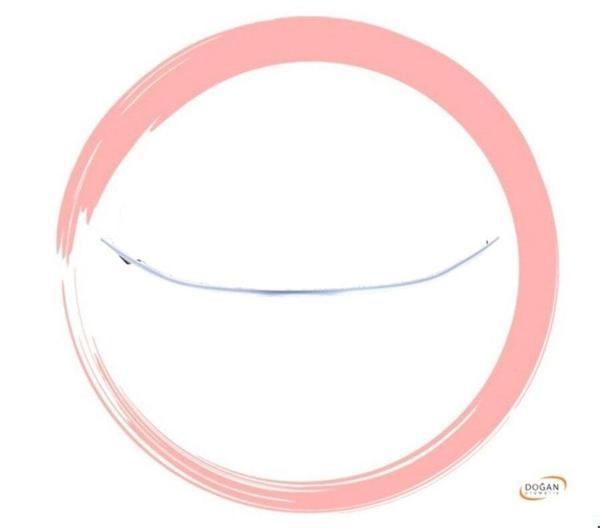 Fiat Egea 2021-2025 Arası Uyumlu Alt Krom Ön Panjur Kuşağı - Image 1