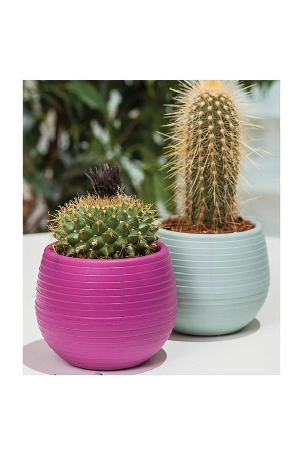 Bitki Ve Kaktüs Saksısı 0,13 Lt 1 No Royaleks-ES01 - Image 1