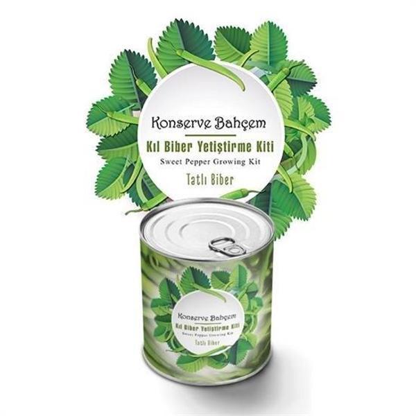 BUFFER® Konserve Bahçem Evde Konservede Tatlı Sivri Biber Yetiştirme Kiti - Image 1