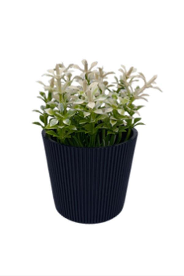 Çizgili Yuvarlak Saksı Çiçek Royaleks-5706 - Image 1