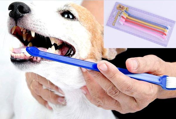 KENPAZAR Çift Taraflı Kedi Köpek Diş Fırçası 4 lü set - Image 1