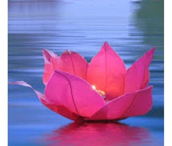 KENPAZAR Nilüfer Su Çiçeği Su Feneri - Image 1