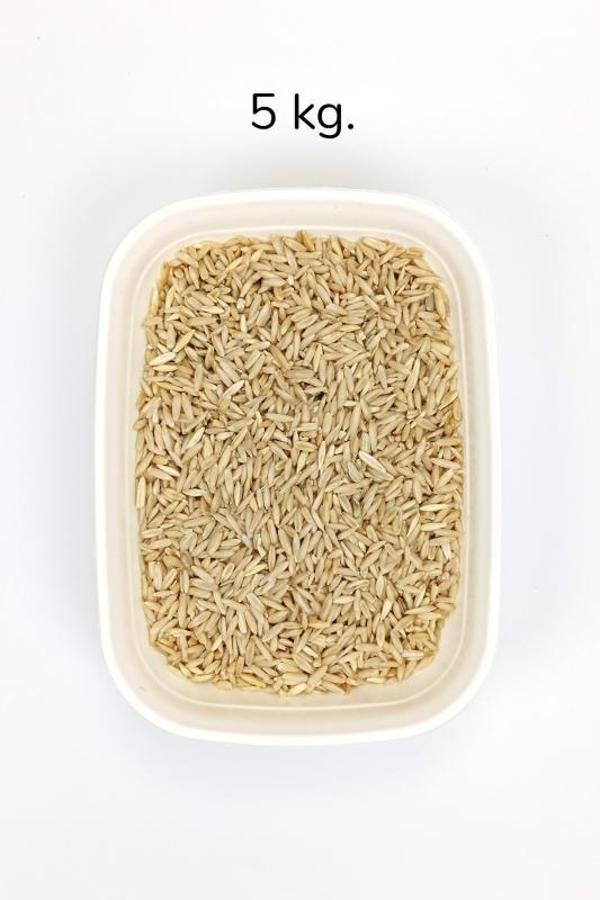 Tüm Kuşlar İçin Doğal Taze Soyulmuş İç Yulaf - 5 kg - Image 1