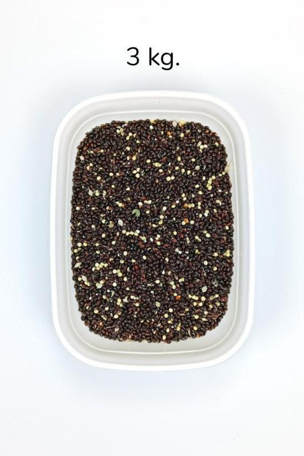 Siyah Darı Sade Tozsuz Doğal Taze Kuş Yemi - 3 kg - Image 1