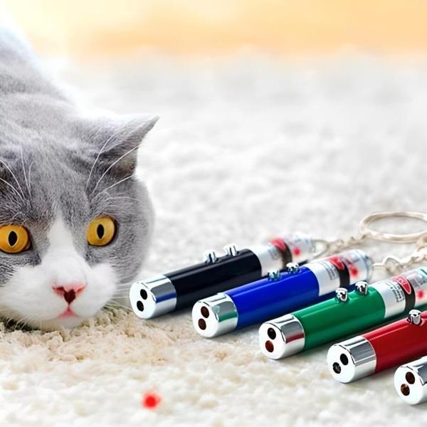 3 Fonksiyonlu Kırmızı Beyaz Işıklı Led Lazer Kedi Köpek Oyuncak Anahtarlık - Image 1