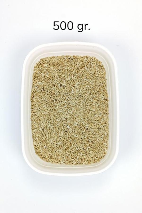 Doğal Taze Kanarya Sade Kuş Yemi - 500 gr - Image 1