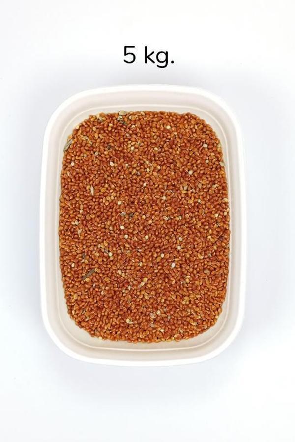 Kırmızı Darı Sade Tozsuz Doğal Taze Kuş Yemi - 5 kg - Image 1