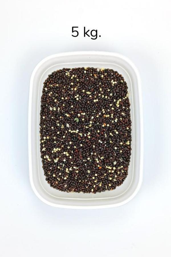 Siyah Darı Sade Tozsuz Doğal Taze Kuş Yemi - 5 kg - Image 1