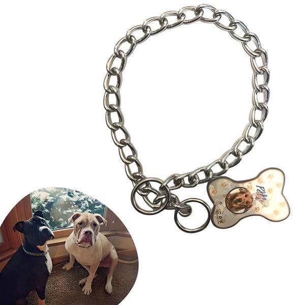 65 cm Uzunlukta Zincir Model Köpek İçin Boyun Tasması - Image 1