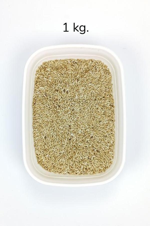 Doğal Taze Kanarya Sade Kuş Yemi - 1 kg - Image 1
