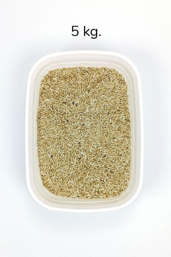 Doğal Taze Kanarya Sade Kuş Yemi - 5 kg - Image 1