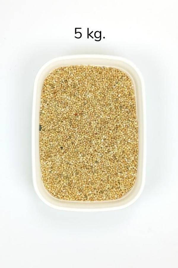 Muhabbet ve Tüm Egzotik Kuşlar İçin Doğal Taze Tane Sarı Darı - 5 kg - Image 1