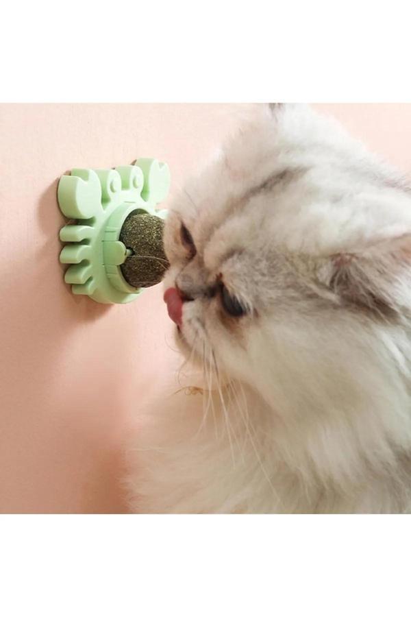 Yengeç Kedi Otu Oyun Topu - Image 1