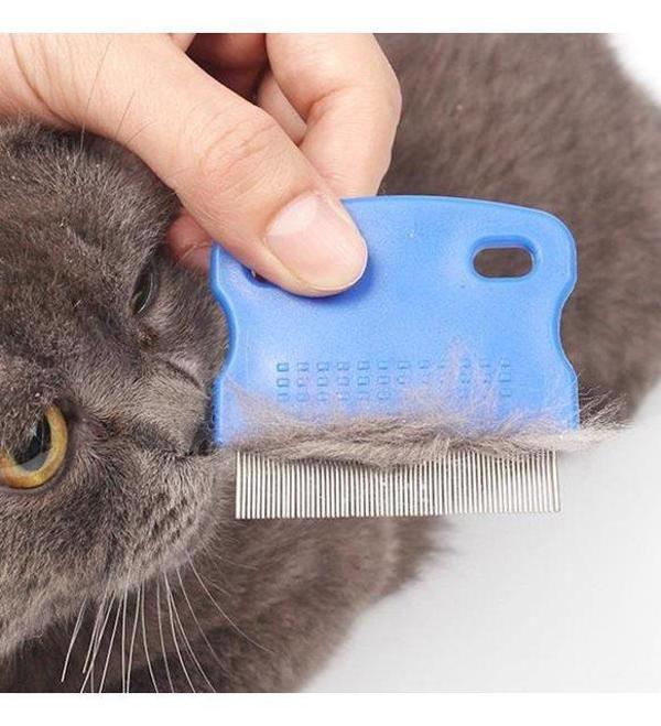 Kedi Köpek Pire Tarağı - Image 1