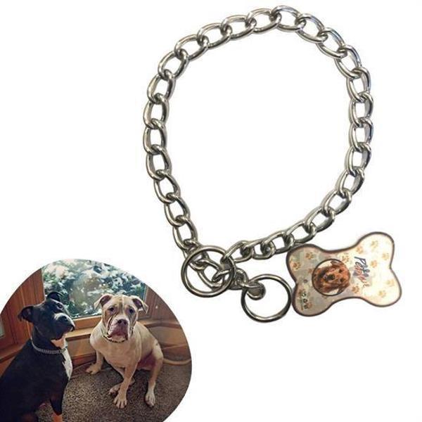 BUFFER® 65 cm Uzunlukta Zincir Model Köpek İçin Boyun Tasması - Image 1