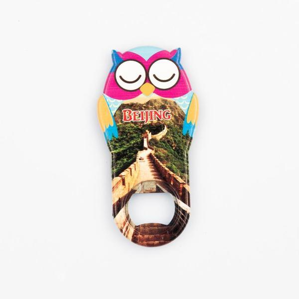 Çin Pekin Temalı Baykuş Magnet Kapak Açacak - Image 1