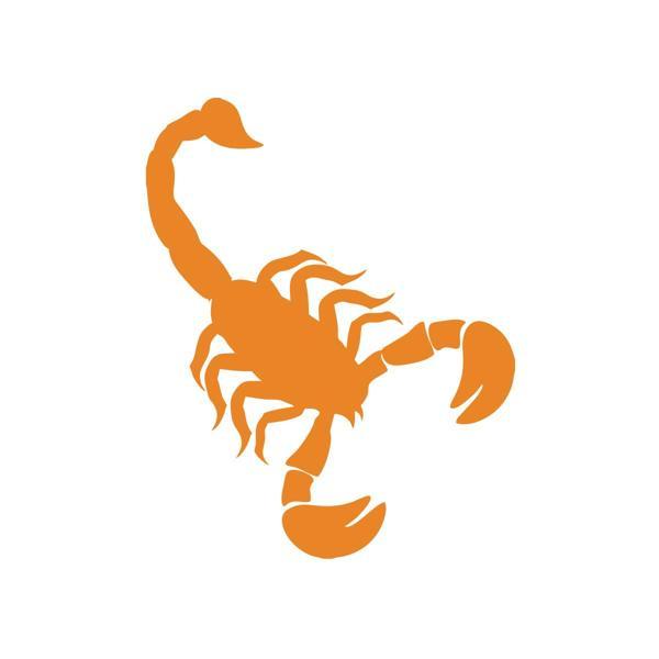 Akrep Araba Sticker 17x17 Cm Turuncu - Image 1