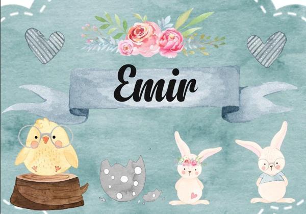 Tevşan Temalı Doğum Günü Afişi 35X50 cm - Image 1