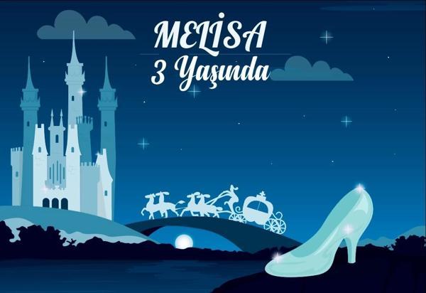 Pirenses Temalı Doğum Günü Afişi 35x50 Cm 35X50 cm - Image 1