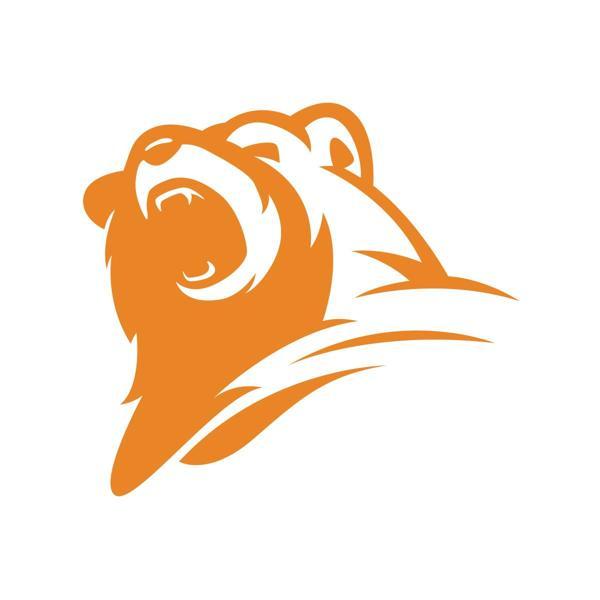 Ayı Kafası Sticker 17x17 Cm Turuncu - Image 1