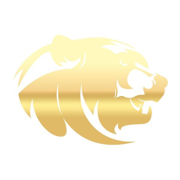 Ayı Kafası Sticker 17x17 Cm Gold - Image 1