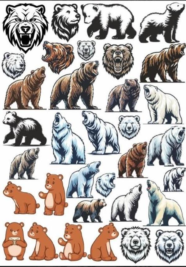 Ayı Sticker Set - Image 1