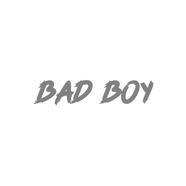Bad Boy Araba Sticker 17x17 Cm Gri - Image 1