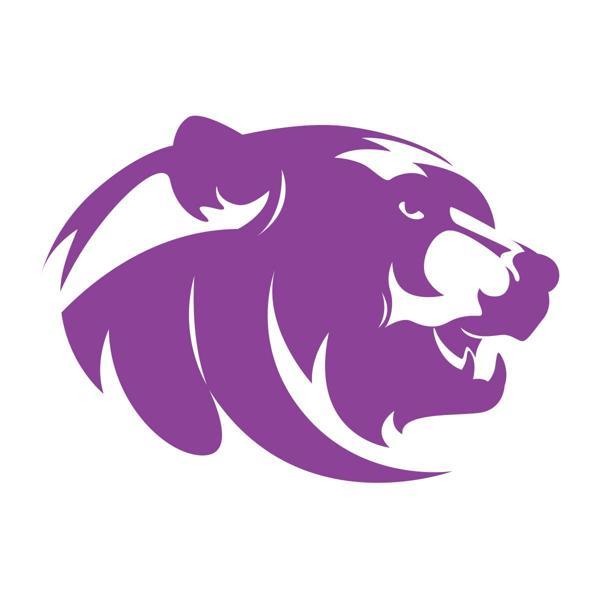 Ayı Kafası Sticker 17x17 Cm Mor - Image 1