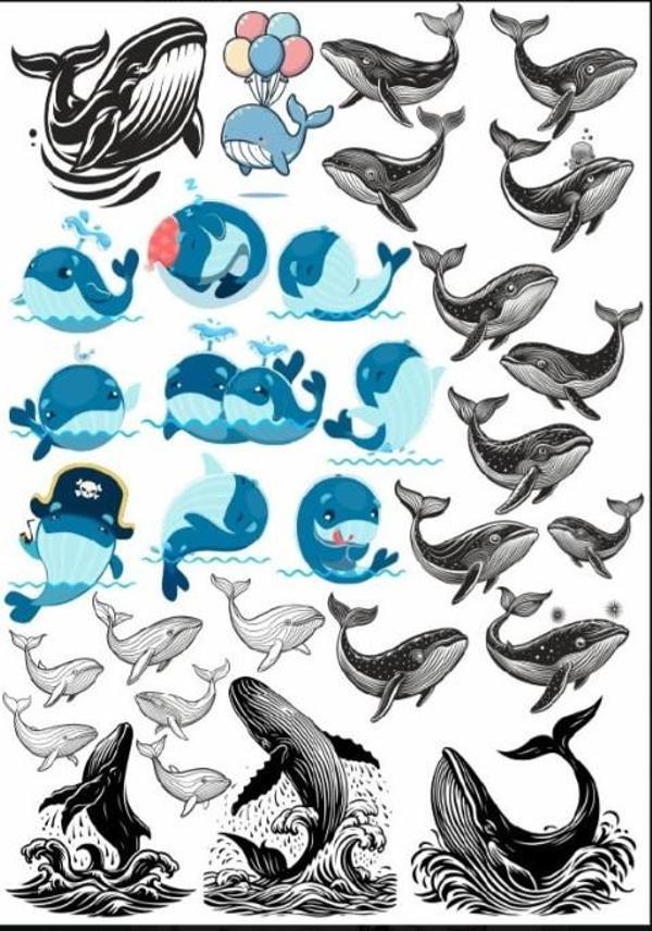 Balina Sticker Set - Image 1