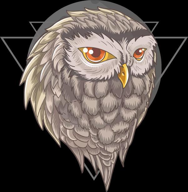 Baykuş Sticker 10x10 cmRenkli Sticker - Image 1