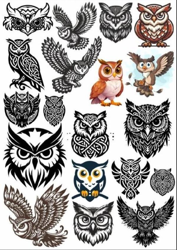 Baykuş Sticker Set - Image 1