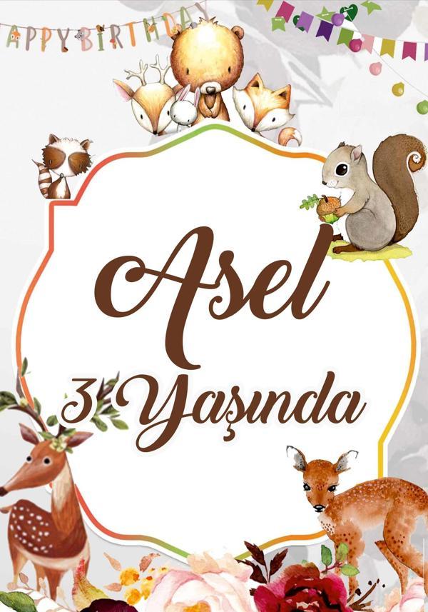 Sincap ve Sevimli Hayvanlar Temalı Doğum Günü Afişi 70X100 cm - Image 1