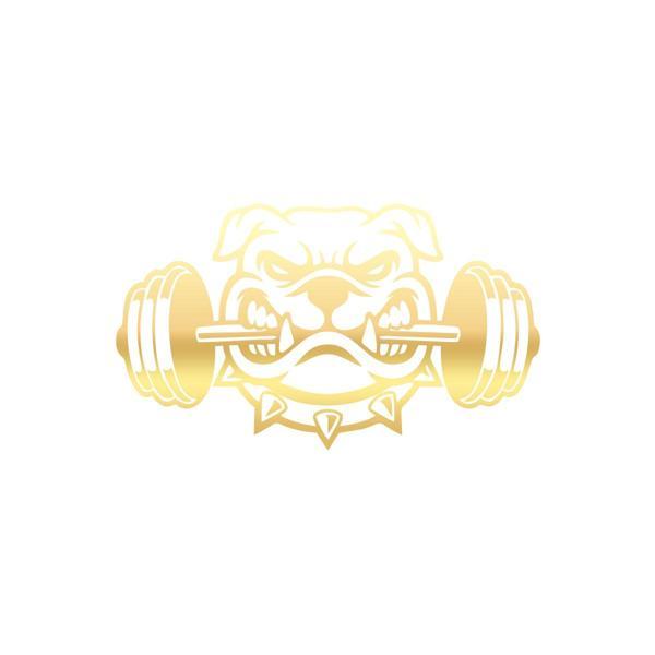 Bulldog Araba Sticker 17x17 Cm Gold - Image 1