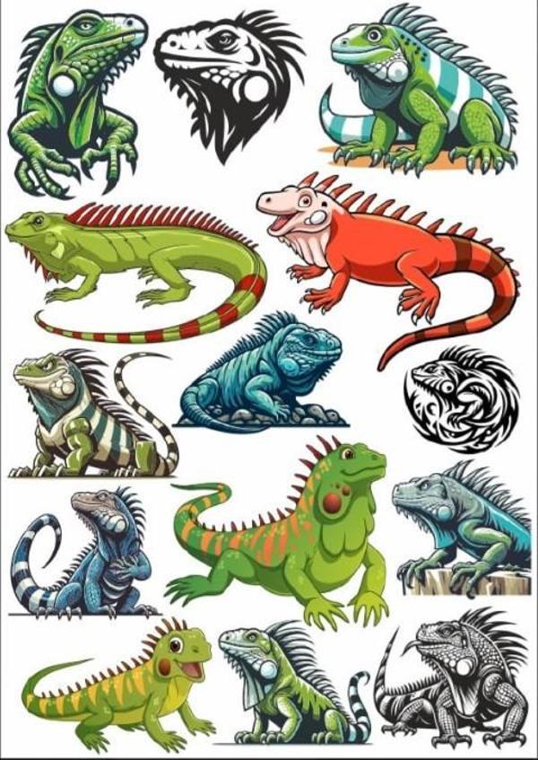 İguana Sticker Set - Image 1