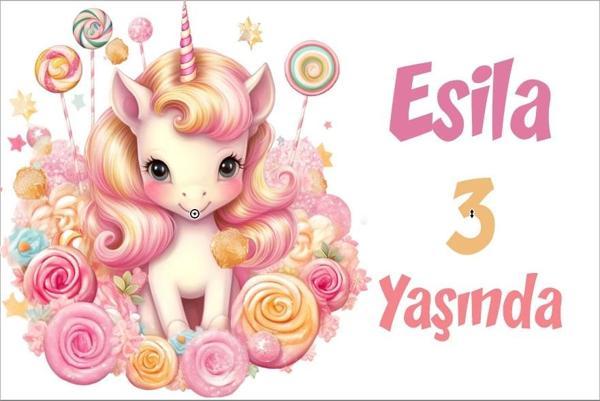 Pembe Unicorn Temalı Doğum Günü Afişi -5 100X150 cm - Image 1