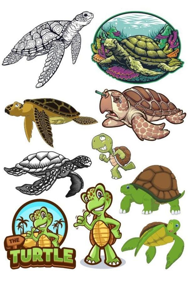 Kaplumbağa Sticker Set-1 10 Parça Telefon, Tablet, Defter, Laptop Sticker - Image 1