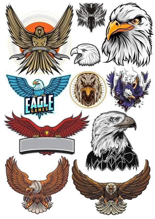 Kartal Sticker Set-2 11 Parça Telefon, Tablet, Defter, Laptop Sticker - Image 1