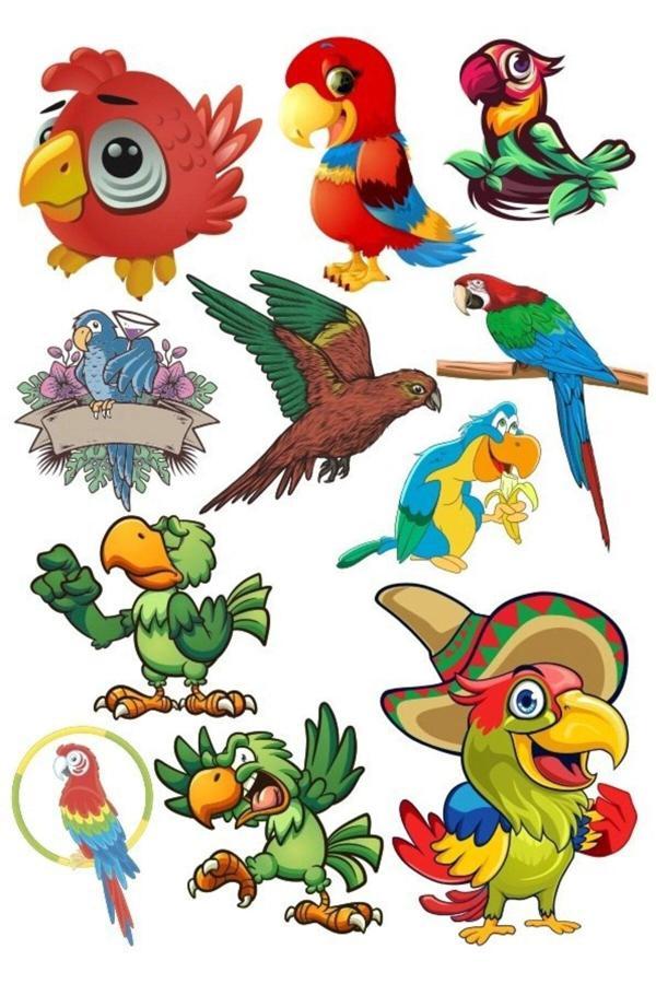 Papağan Sticker Set-1 12 Parça Telefon, Tablet, Defter, Laptop Sticker - Image 1