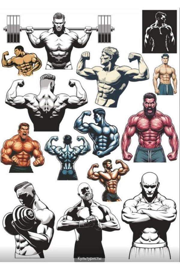 Gym Fittnes Sticker Set 2 - Image 1