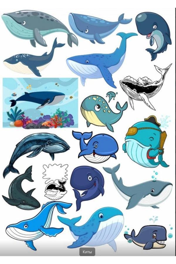 Balina Sticker Set 3 - Image 1