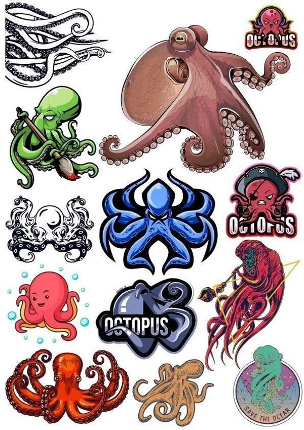 Ahtapot Sticker Set-11 13 Parça Telefon, Tablet, Defter, Laptop Sticker - Image 1