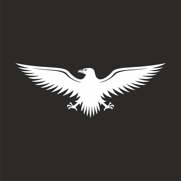 Kartal Sticker17x17 Cm Beyaz - Image 1