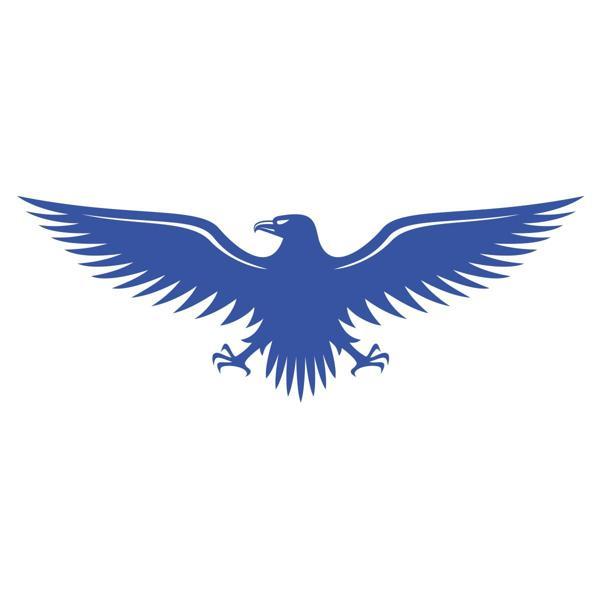 Kartal Sticker17x17 Cm Mavi - Image 1