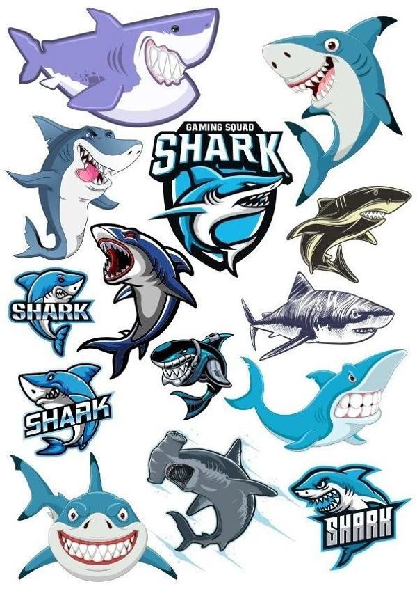 Köpek Balığı Sticker Set 20 Parça Telefon, Tablet, Defter, Laptop Sticker - Image 1
