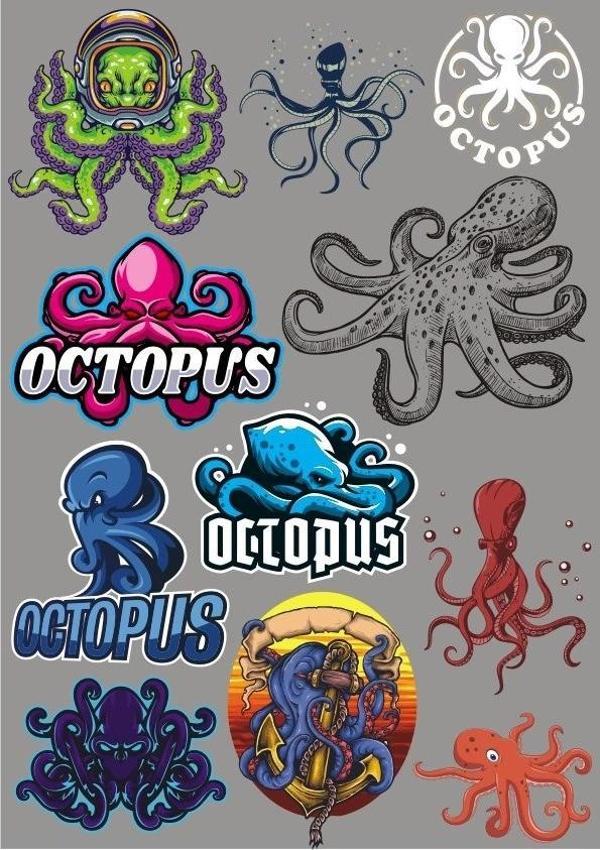 Ahtapot Sticker Set-3 11 Parça Telefon, Tablet, Defter, Laptop Sticker - Image 1