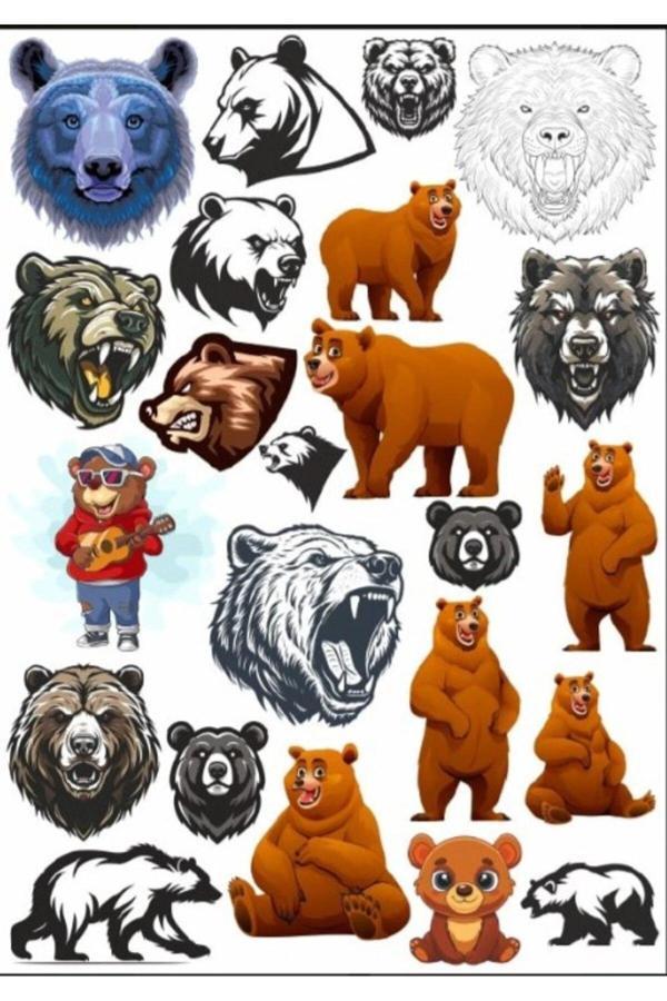 Sinirli Ayı Sticker Set 1 - Image 1