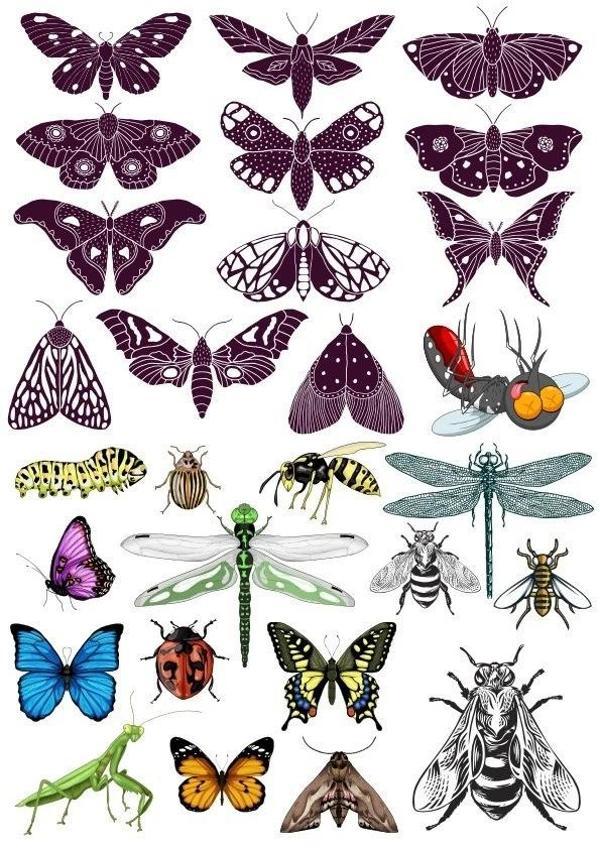 Kelebek Sticker Set-1 18 Parça Telefon, Tablet, Defter, Laptop Sticker - Image 1